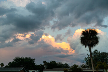 Golden Hour Skies