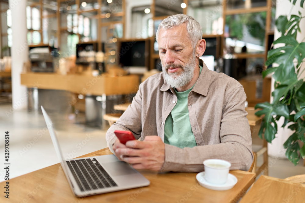 Wall mural Middle aged gray-haired older adult business man, mature bearded male professional businessman holding smartphone using cell phone working, texting messages, scrolling mobile sitting at cafe table.