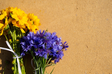 blue and yellow flowers