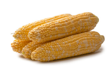 Yellow corn isolated on white background. Copyspace.