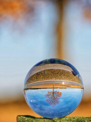Glaskugel - Baum im Herbst 