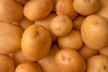 A group of fresh tasty potato as  background.