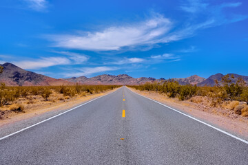 Fototapeta na wymiar Long, straight desert highway