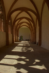Obraz premium Cathédrale et église de Saint Die Des Vosges.