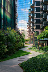 Miejska architektura i zielona oaza