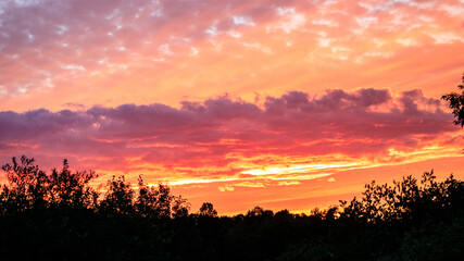 Fototapeta premium sunset over the field
