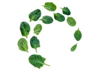 Spiral flying heap of green spinach leaves isolated transparent png