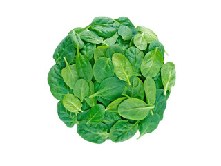 Obraz premium Round heap of green spinach leaves top view isolated transparent png