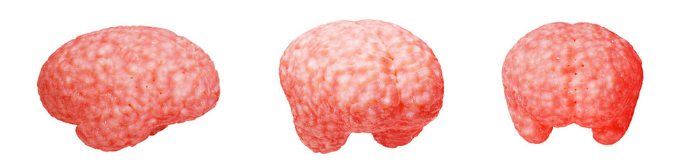 Brain isolated on a white background. Human brain in different angles, 3d rendering. Transparent background