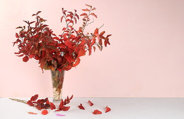 Bouquet with orange leaves on light table, empty showcase for display or presentation of cosmetic...