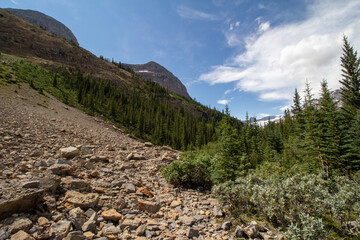 Saskatchewan Glacier, AB, Canada