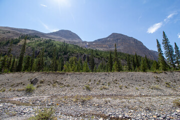 Saskatchewan Glacier, AB, Canada