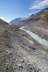 Saskatchewan Glacier, AB, Canada
