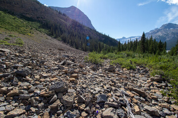 Saskatchewan Glacier, AB, Canada