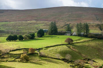 An Irish rural landscape