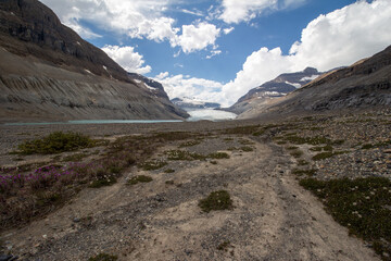 Saskatchewan Glacier, AB, Canada