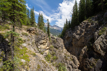 Saskatchewan Glacier, AB, Canada