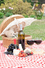 summer picnic on a green lawn with red wine, cheese and fresh berries, grapes