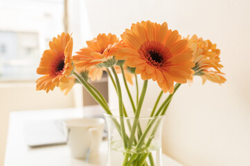 Close up of orange gerbera daisies in glass vase on desk with laptop and cup in background (selective focus)