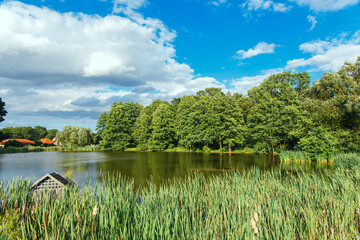 Summer landscape with a lake