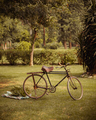 Fototapeta premium bicycles in the park