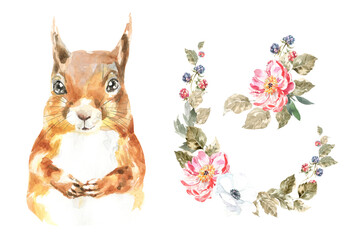 Watercolor woodland animal boho squirrel botanical frame isolated cute animal. Nursery forest illustration. Bohemian boho animals for baby shower invitation, nursery decor, print, greeting card diy