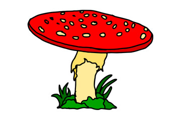 Mushroom Vector