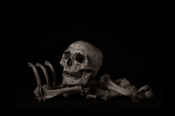 Awesome The skull  on pile of bone on black background, concept of scary crime scene of horror or...