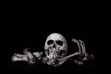 Awesome The skull  on pile of bone on black background, concept of scary crime scene of horror or thriller movies,Halloween theme, Still Life style, selective focus,