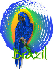 Brazilian blue macaw illustration © Rafael