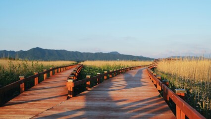 자연 - 순천만습지