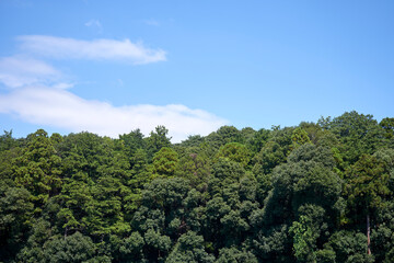 山林・晴れ・森・風景・背景