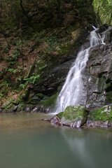 Fototapeta premium 摂津峡白滝 大阪府高槻市