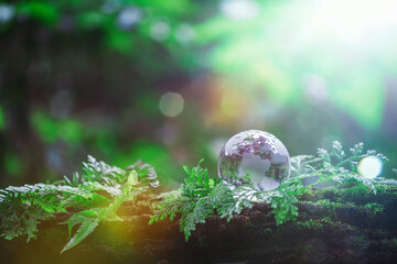 Globe planet glass In green forest with bokeh nature lights. world environment day. concept for...