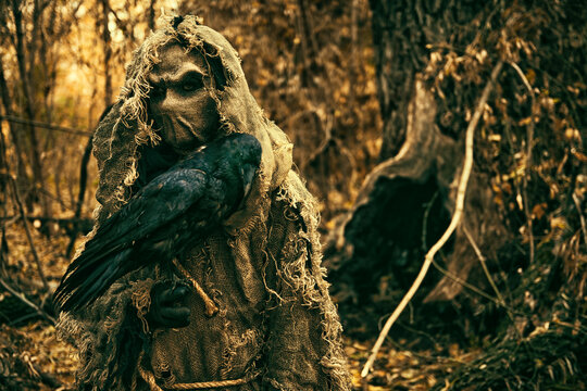 ghost of a dark forest