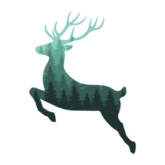 Reindeer