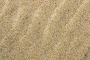 Fototapeta na wymiar Abstract Sand at Fort Macon Beach North Carolina