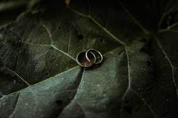 wedding rings on a leaf