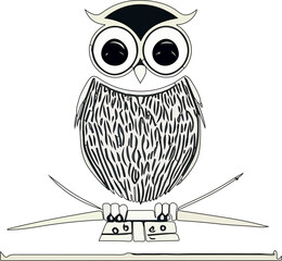 Hermoso búho en fondo blanco (vector ) 