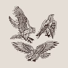 Set of eagles and birds illustration