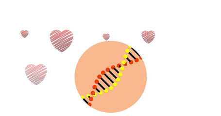 Digital image of dna structure spinning against multiple red hearts against white background