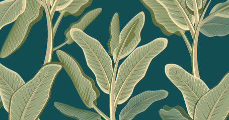 Image of tropical plant leaves on green background