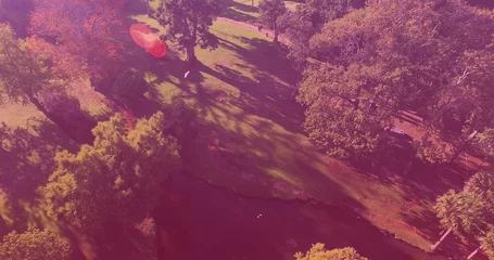Selbstklebende Fototapete Naturpark Bild der Draufsicht von Vögeln, die über Bäume im Park fliegen