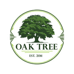 oak tree illustration for logo 