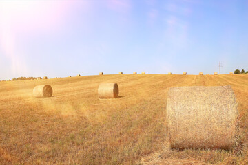 Fototapeta na wymiar hay roll landscape nature summer farming