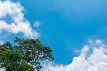 clouds over the sky