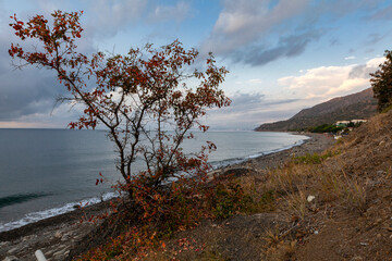 Fototapeta na wymiar Panorama of the seascape of the Crimean peninsula.