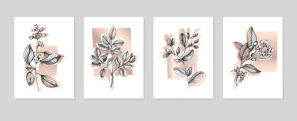Set of Abstract Eucalyptus Hand Painted Illustrations for Wall Decoration, minimalist flower in sketch style. Postcard, Social Media Banner, Brochure Cover Design Background. Modern Abstract Painting.