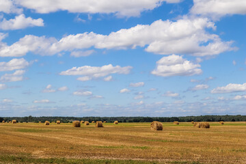 Fototapeta na wymiar Haystack in the field after harvest. Round bales of hay across a farmer's field, blue sky with clouds