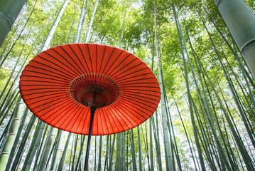 竹林と赤い和傘